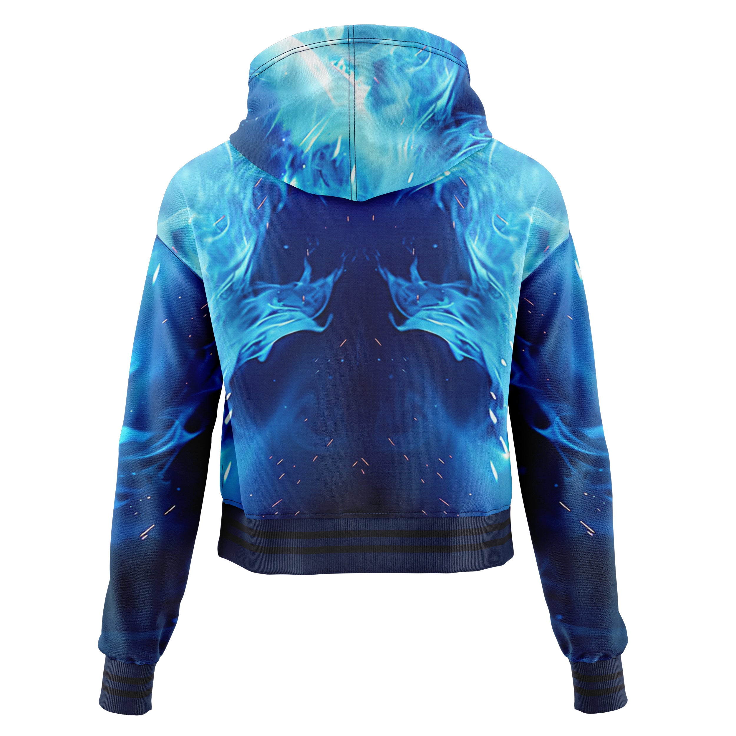 Blue flamed skull Cropped Hoodie